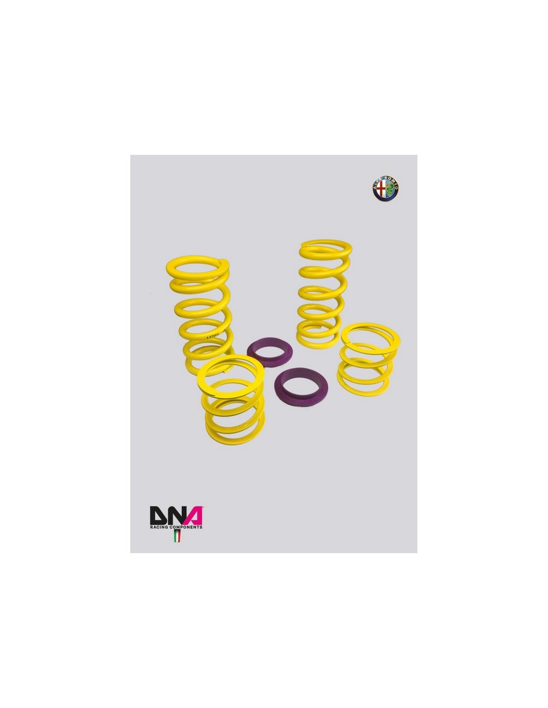Top_Mount_DNA_Racing_Molle_Alfa_Romeo_Giulietta_2