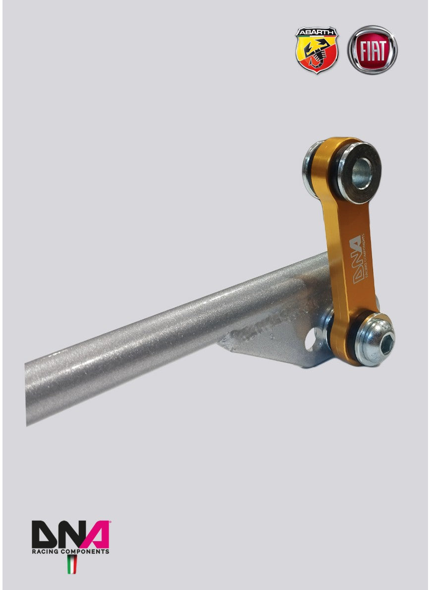 Kit barra antirollio posteriore DNA Racing - 500 abarth versione EU