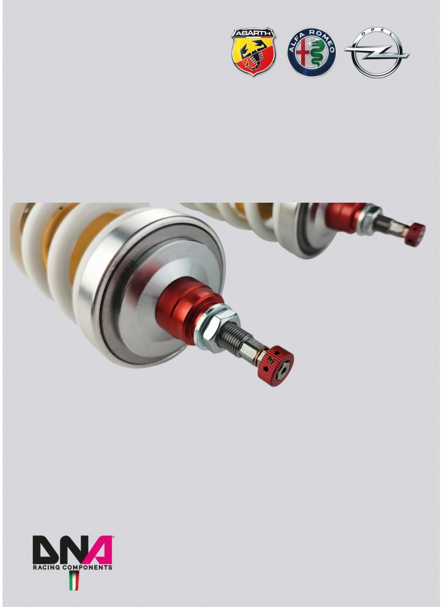 Assetto regolabile Dna Racing Grande Punto Abarth WRS